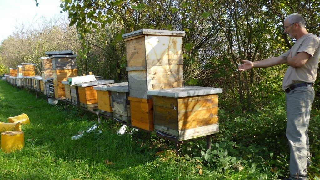 výroba medu